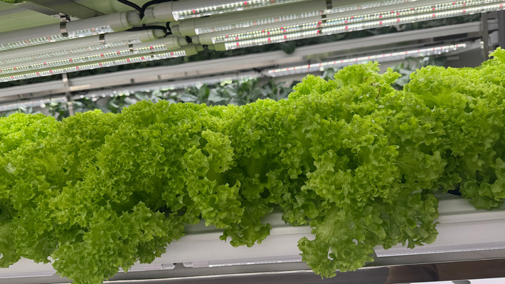PERKESO Integrated Rehabilitation Farm